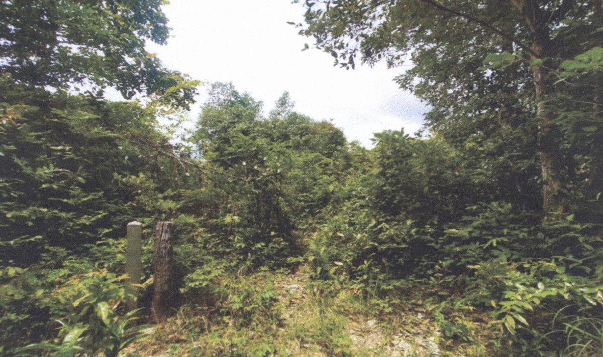 ที่ดินเปล่า อุบลราชธานี เมืองอุบลราชธานี หนองขอน 32500