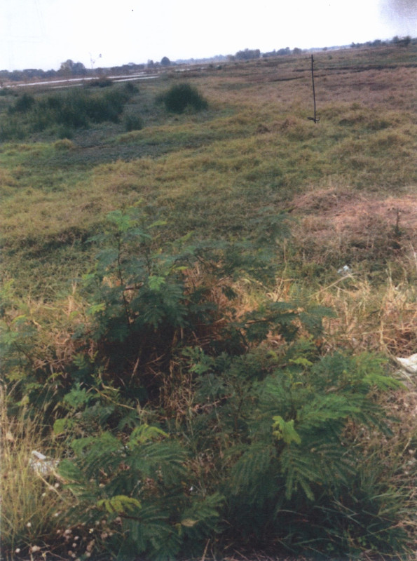 Residential land/lot Chaiyaphum Mueang Chaiyaphum Bung Khla 174800