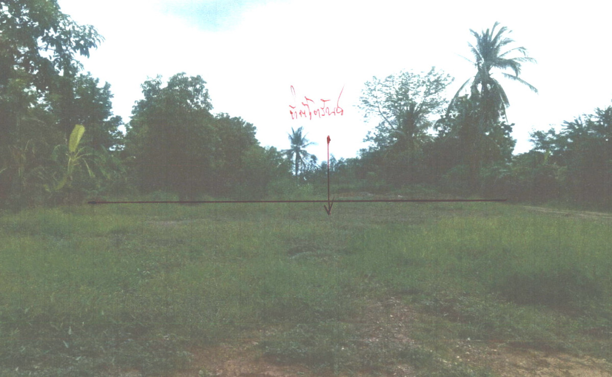 Residential land/lot Phetchabun Si Thep Sa Kruat 70290