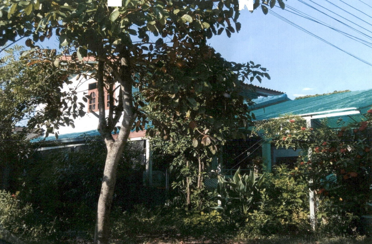 บ้านเดี่ยว เพชรบูรณ์ วิเชียรบุรี สามแยก 654513