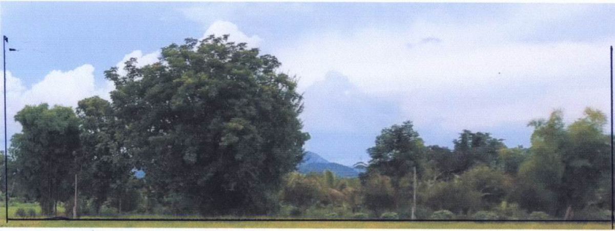Residential land/lot Phetchabun Mueang Phetchabun Na Yom 428470