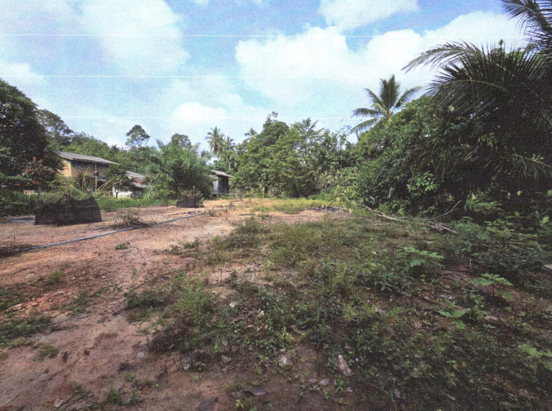 Residential land/lot Songkhla Chana Ban Na 260080