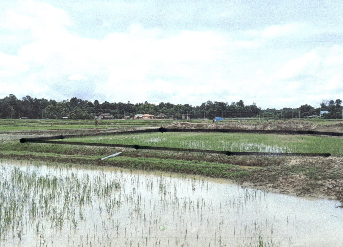 Residential land/lot Nan Wiang Sa Chom Chan 72968