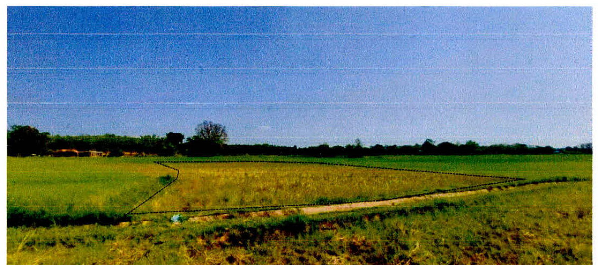 Residential land/lot Nan Phu Phiang Fai Kaeo 105570