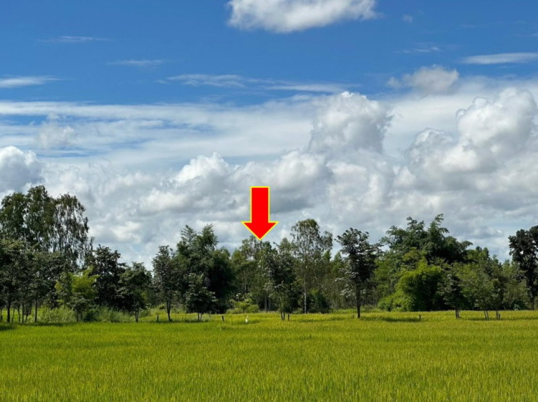 ที่ดินเปล่า สกลนคร สว่างแดนดิน บ้านต้าย 421540