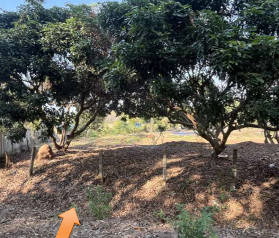 Residential land/lot Chiang Rai Phan Wiang Hao 370755
