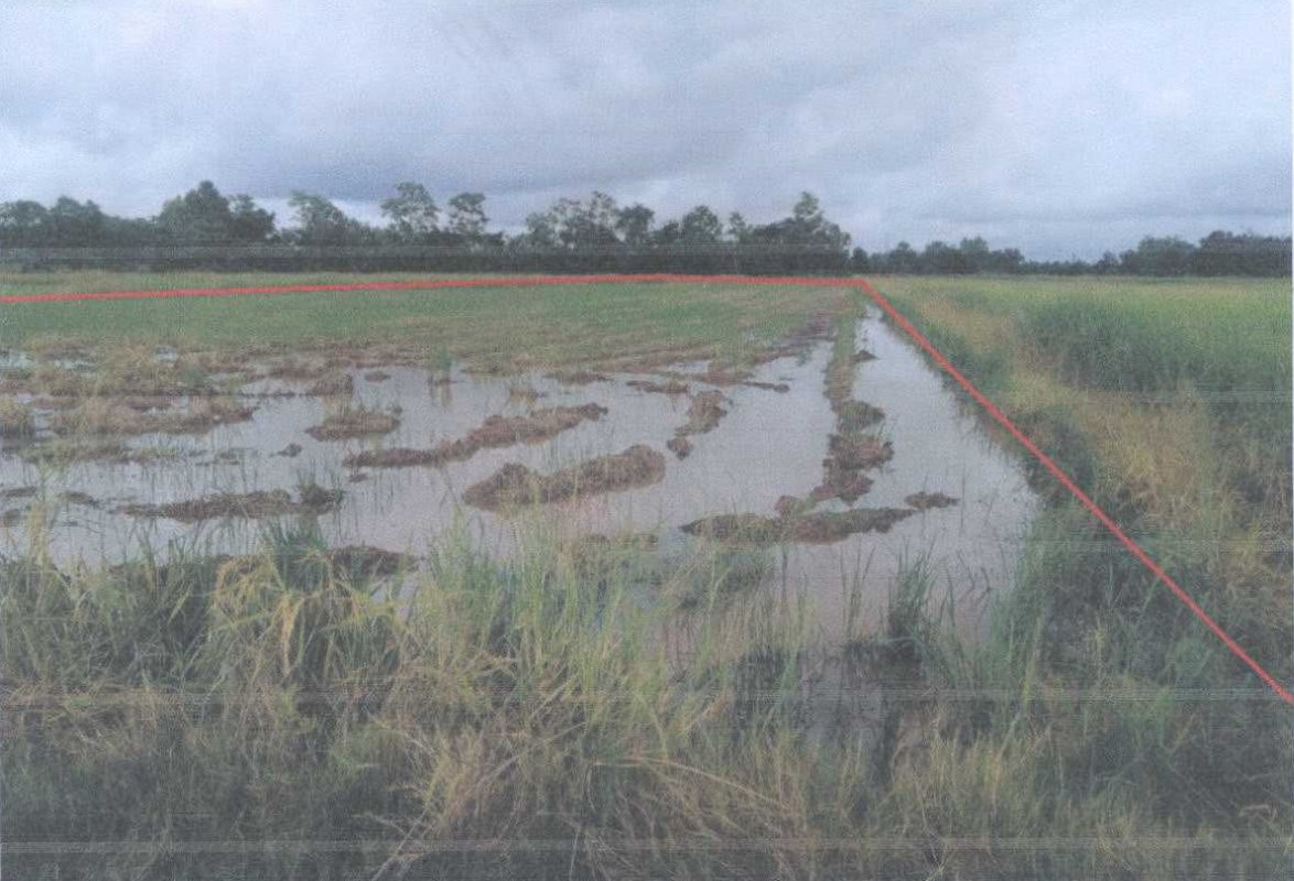 Residential land/lot Phichit Sam Ngam Sam Ngam 289050