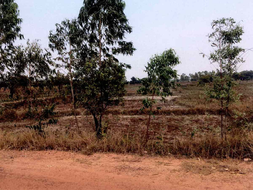 ที่ดินเปล่า อุบลราชธานี เมืองอุบลราชธานี หนองบ่อ 129600