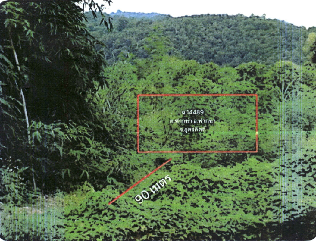 Residential land/lot Uttaradit Fak Tha Fak Tha 88560