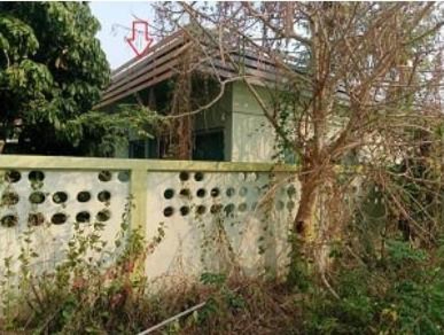 บ้านเดี่ยว ลำพูน ลี้ ลี้ 995000