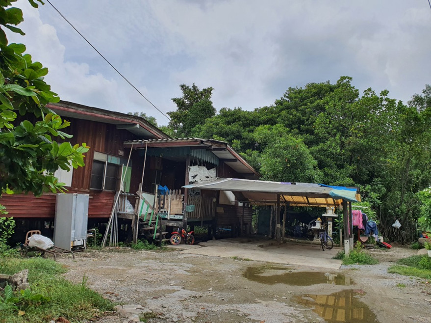 บ้านเดี่ยว บ้านเดี่ยวไม้ยกใต้ถุนสูง ซ.วัดแค ต.บางปลากด ถ.สุขสวัสดิ์ สมุทรปราการ พระสมุทรเจดีย์ ปากคลองบางปลากด 1833000