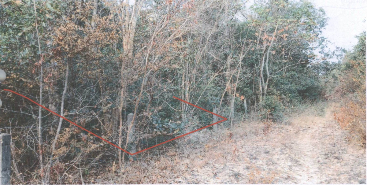 ที่ดินเปล่า อุบลราชธานี เขื่องใน เขื่องใน 50000