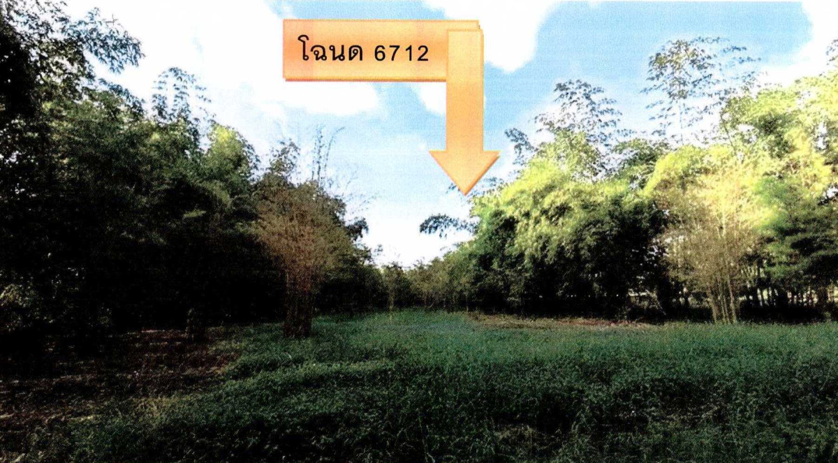 Residential land/lot Nong Khai Sri Chiang Mai Phan Phrao 242800