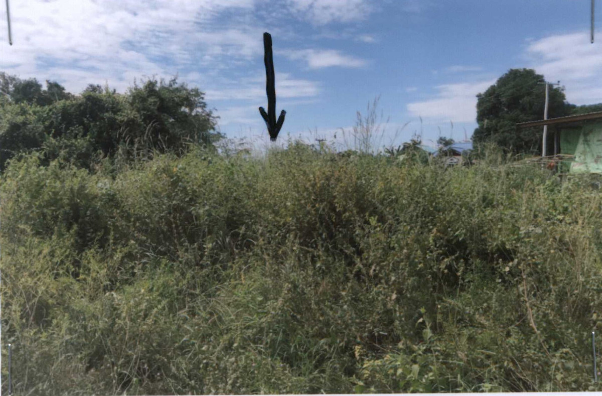 Residential land/lot Ubon Ratchathani Muang Sam Sip Phon Phaeng 29900