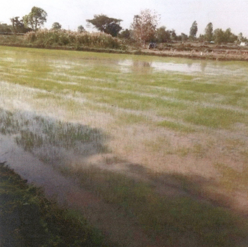 ที่ดินเปล่า กาฬสินธุ์ เขาวง สระพังทอง 355000