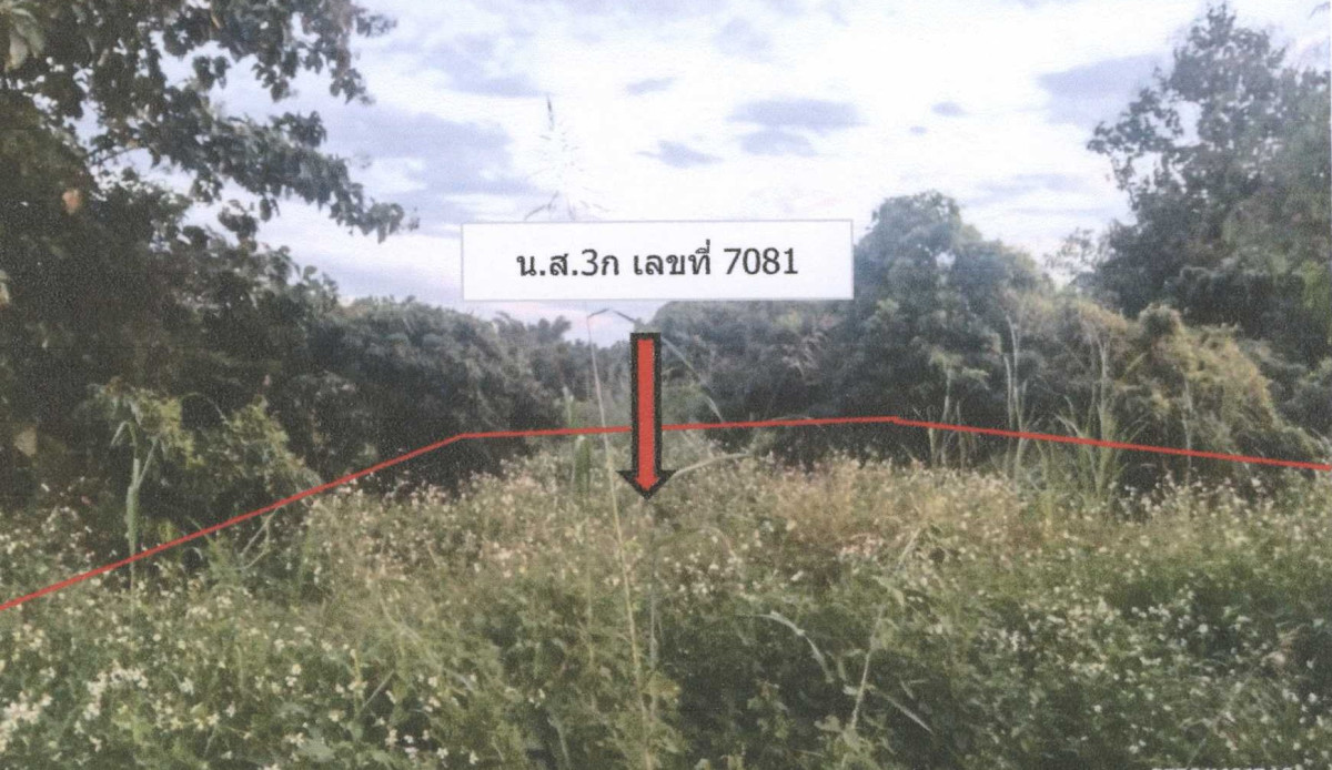 ที่ดินเปล่า เชียงใหม่ จอมทอง บ้านแปะ 105250