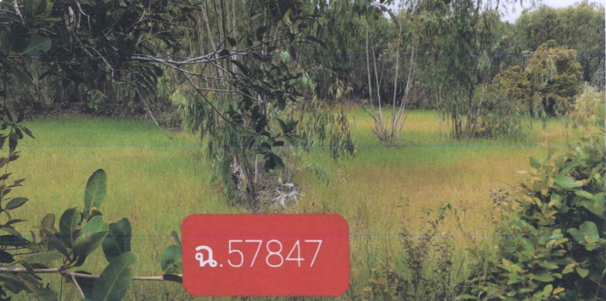 Residential land/lot Ubon Ratchathani Khueang Nai Khueang Nai 160000