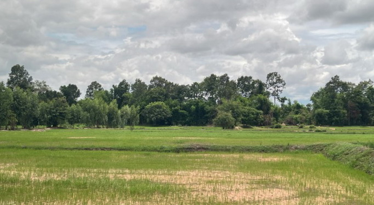 Residential land/lot Ubon Ratchathani Si Mueang Mai Lat Khwai 75465