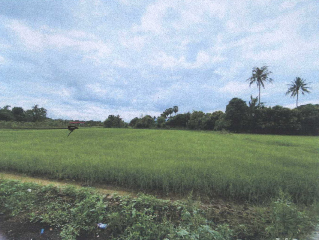 Residential land/lot Phetchaburi Tha Yang Tha Yang 649500