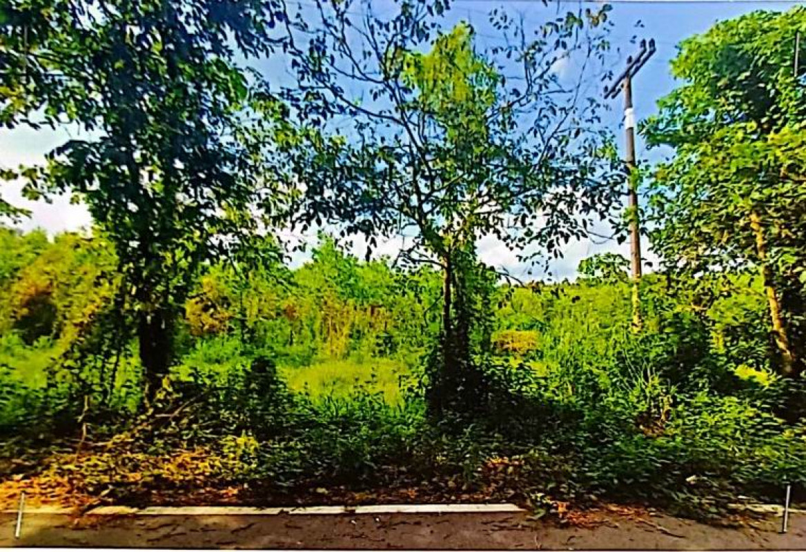 Residential land/lot Chachoengsao Sanam Chai Khet Tha Kradan 2549040