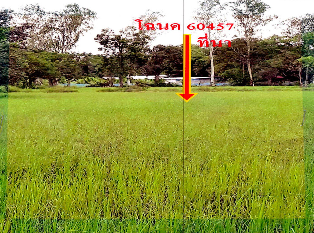 ที่ดินเปล่า อุบลราชธานี วารินชำราบ ธาตุ 99000