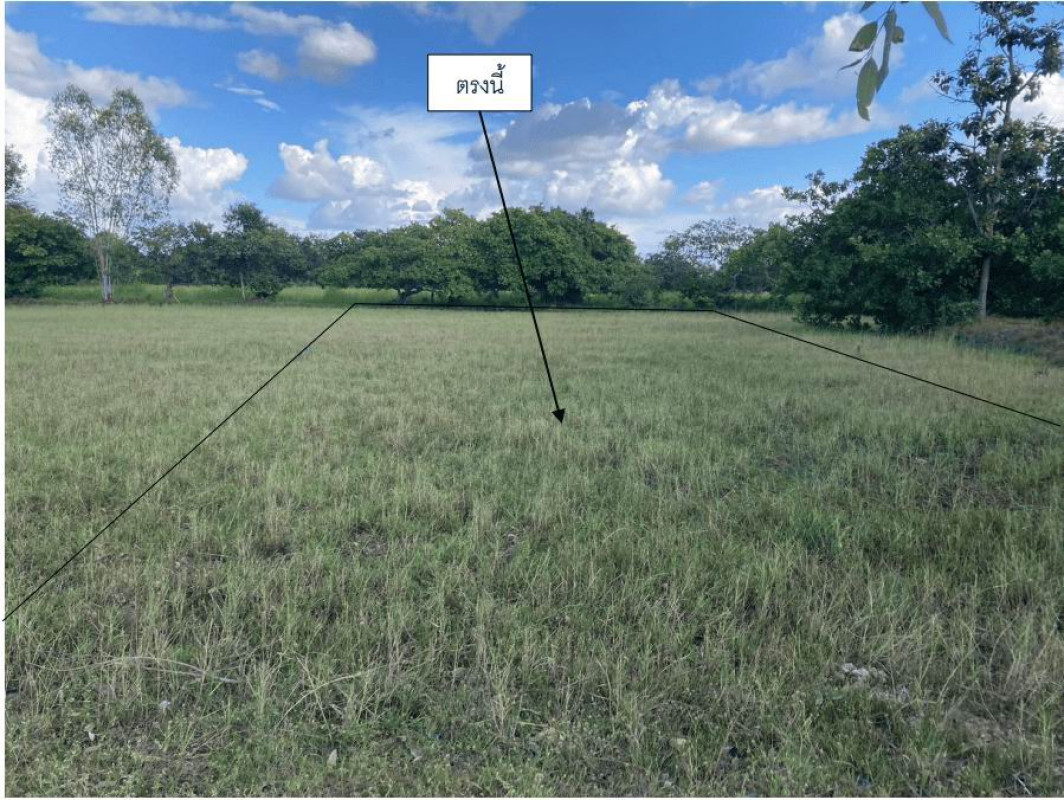 ที่ดินเปล่า อุบลราชธานี เมืองอุบลราชธานี ปะอาว 97500