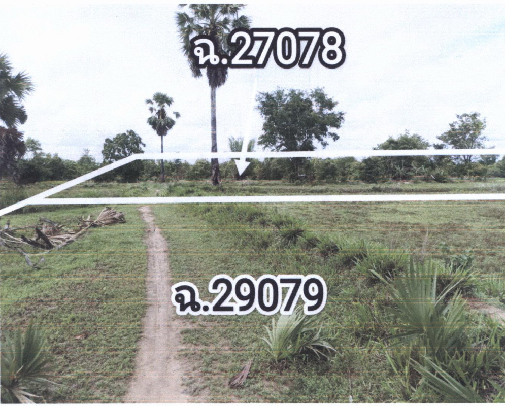 ที่ดินเปล่า อุบลราชธานี ตระการพืชผล กุศกร 828880