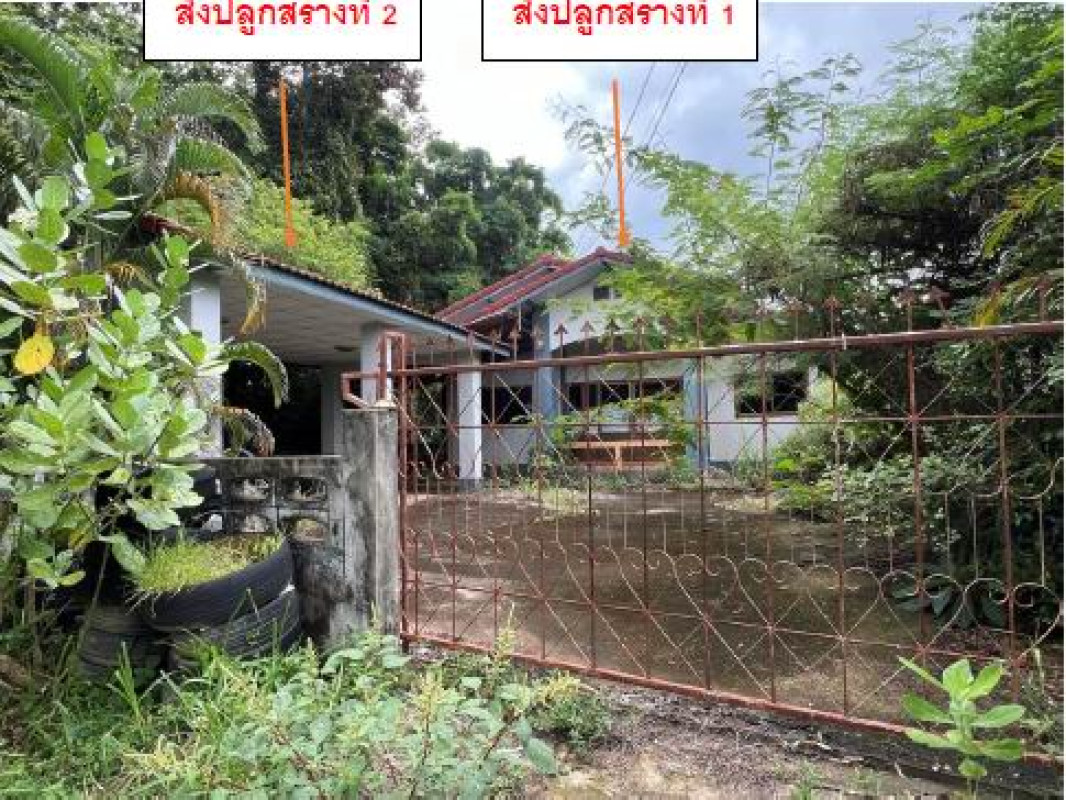 บ้านเดี่ยว อุบลราชธานี เมืองอุบลราชธานี ขามใหญ่ 962120