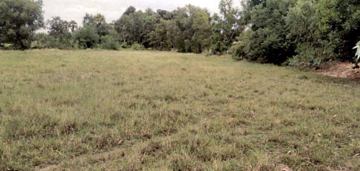 Residential land/lot Kalasin Yang Talat Yang Talat 496000
