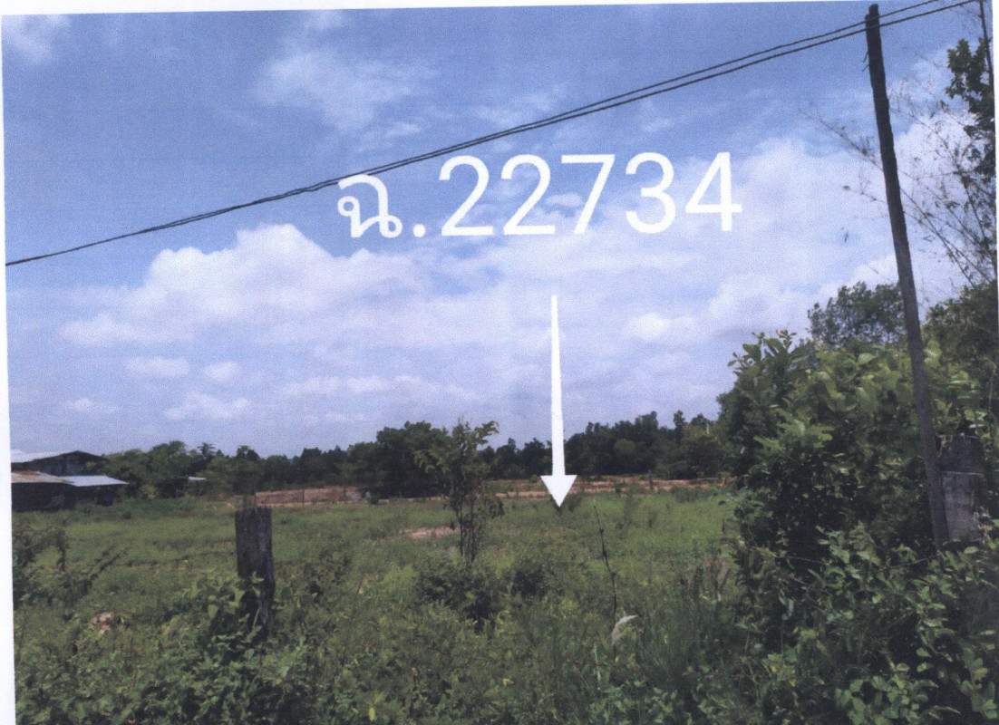 ที่ดินเปล่า อุบลราชธานี เขมราฐ หนองผือ 627360