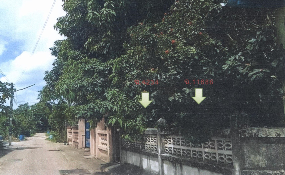 Residential land/lot Chumphon Lang Suan Pak Nam 361500