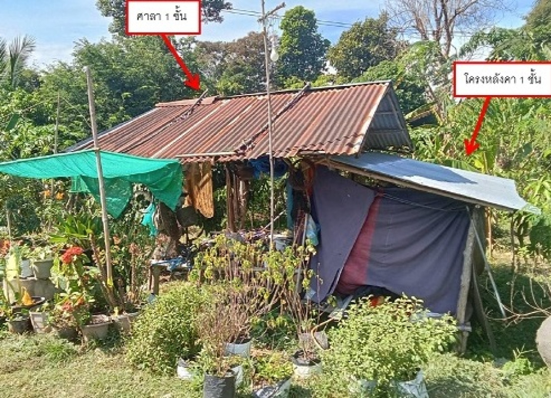 บ้านเดี่ยว สกลนคร พรรณานิคม ไร่ 68185