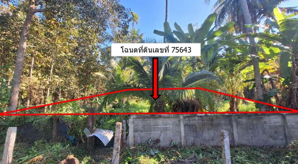 Residential land/lot Chiang Rai Phan Mae Yen 100521