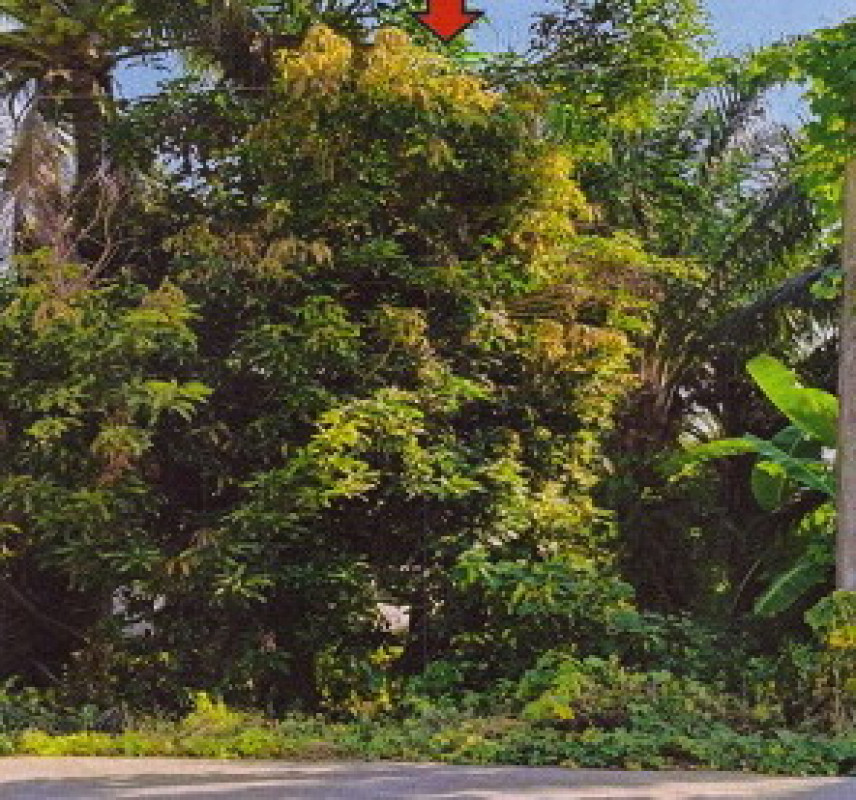 Residential land/lot Trang Hat Samran Tase 192900