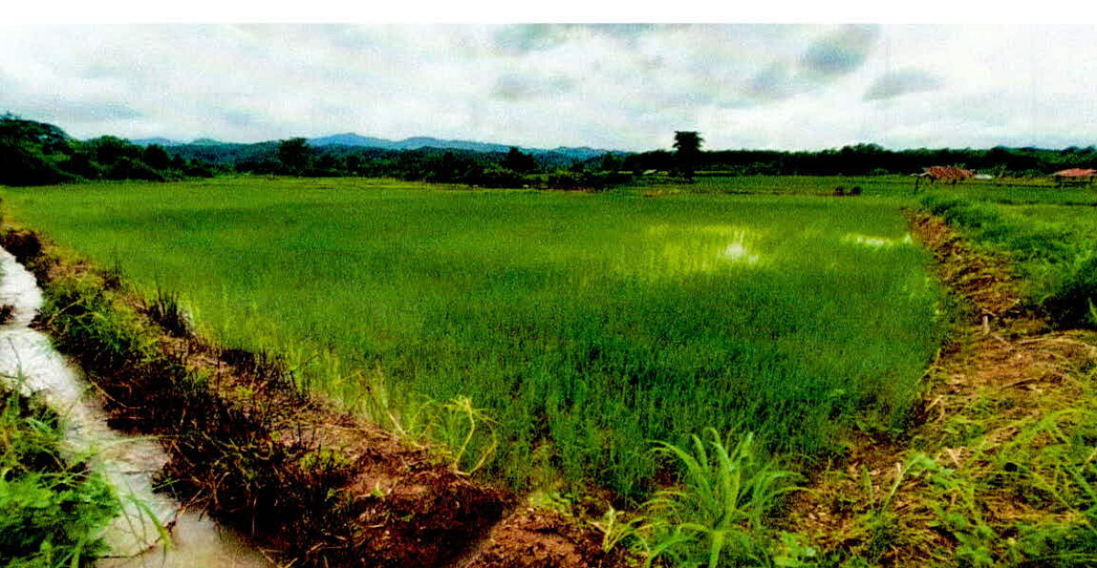 Residential land/lot Nan Santi Suk Pa Laeo Luang 105743