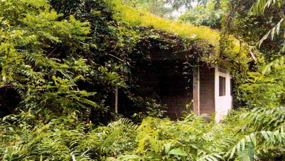 Single house Pattani Panare Tha Kham 404160