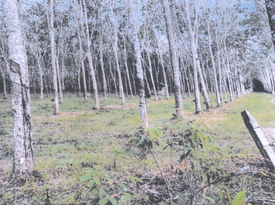 Residential land/lot Songkhla Na Thawi Na Thawi 1391000