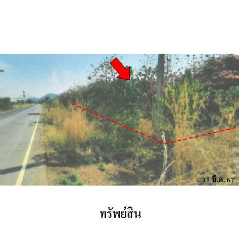 อื่นๆ ลพบุรี พัฒนานิคม ช่องสาริกา 13554400