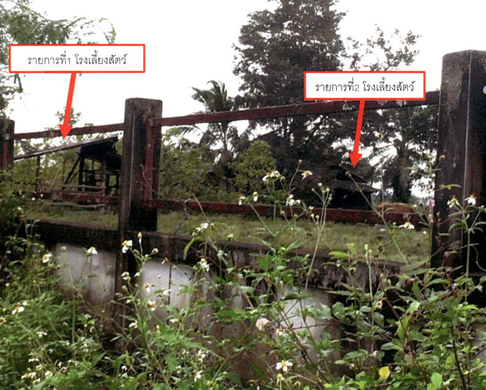 ที่ดินเปล่า ชุมพร เมืองชุมพร วังไผ่ 7936080