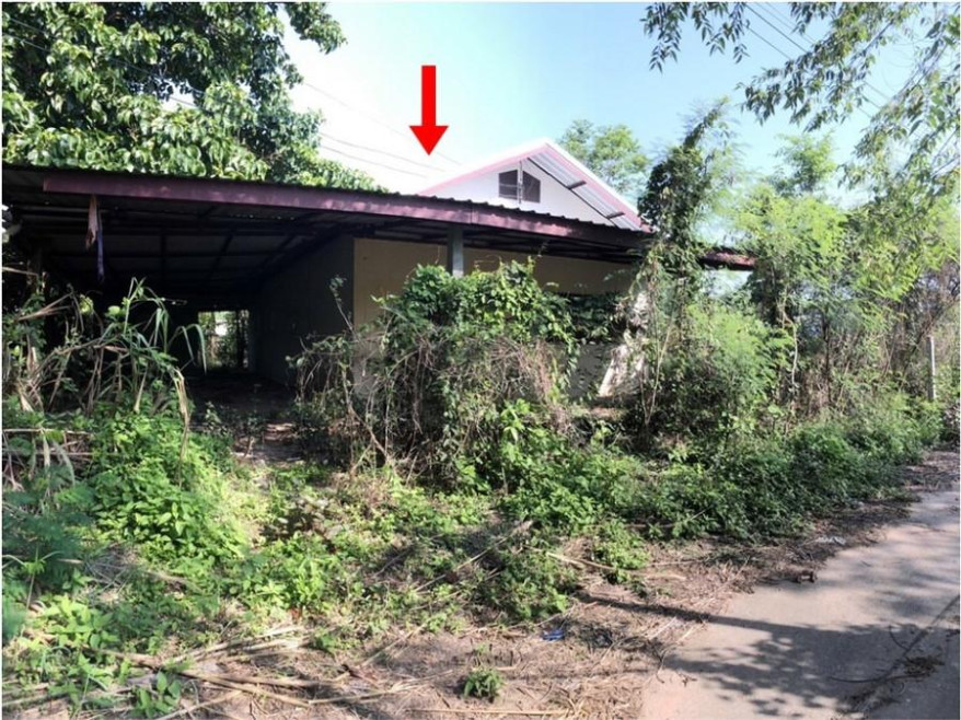 บ้านเดี่ยว บ้านโนนสว่างพัฒนา อุดรธานี หนองวัวซอ หมากหญ้า 955000