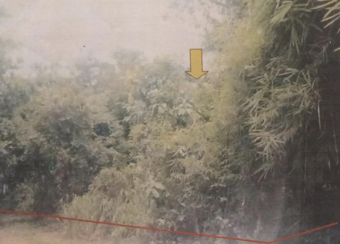 Residential land/lot Ubon Ratchathani Don Mot Daeng Lao Daeng 128610