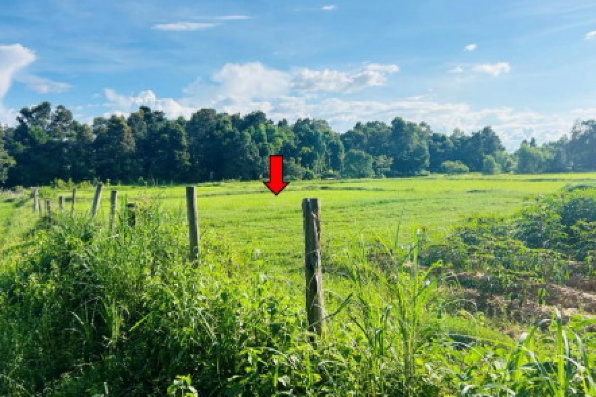 Residential land/lot Ubon Ratchathani Khemarat Hua Na 289640