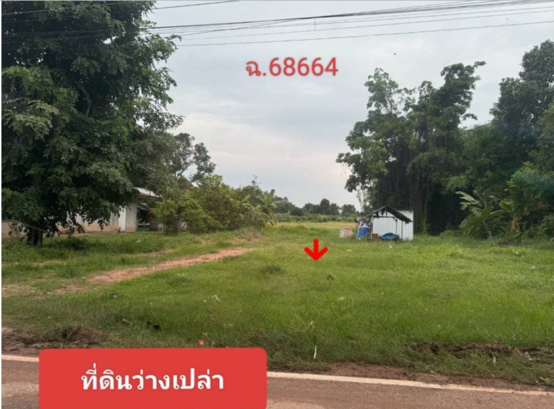 ที่ดินเปล่า กาฬสินธุ์ ยางตลาด นาเชือก 160000
