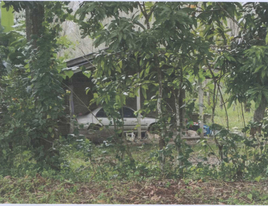 บ้านเดี่ยว นครศรีธรรมราช บางขัน วังหิน 361740