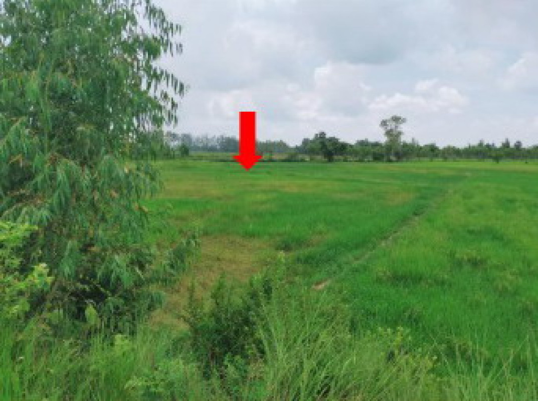 ที่ดินเปล่า กาฬสินธุ์ กมลาไสย หลักเมือง 800000