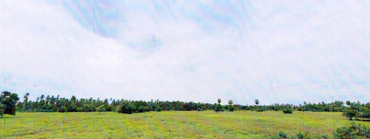 ที่ดินเปล่า ปัตตานี หนองจิก ดอนรัก 50960