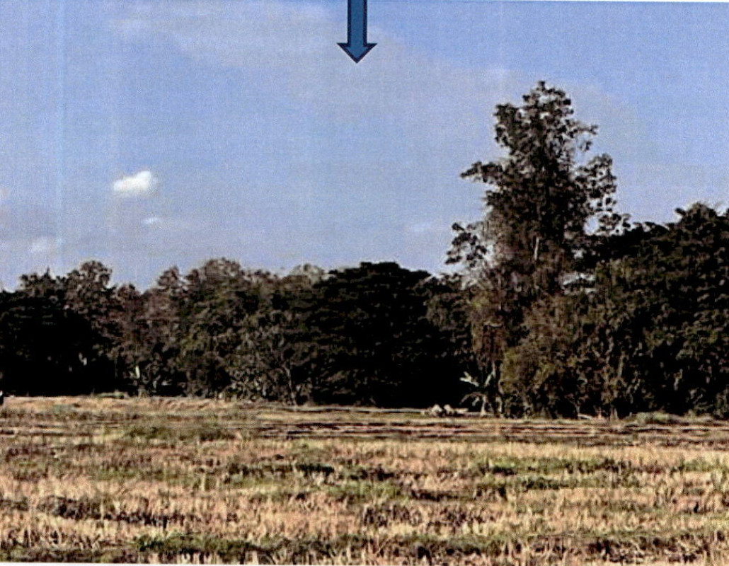 Residential land/lot Lampang Chae Hom Pong Don 122300