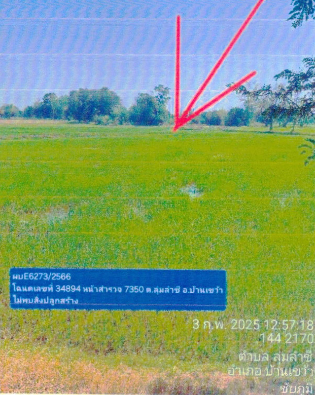 Residential land/lot Chaiyaphum Ban Khwao Lum Lam Chi 554910
