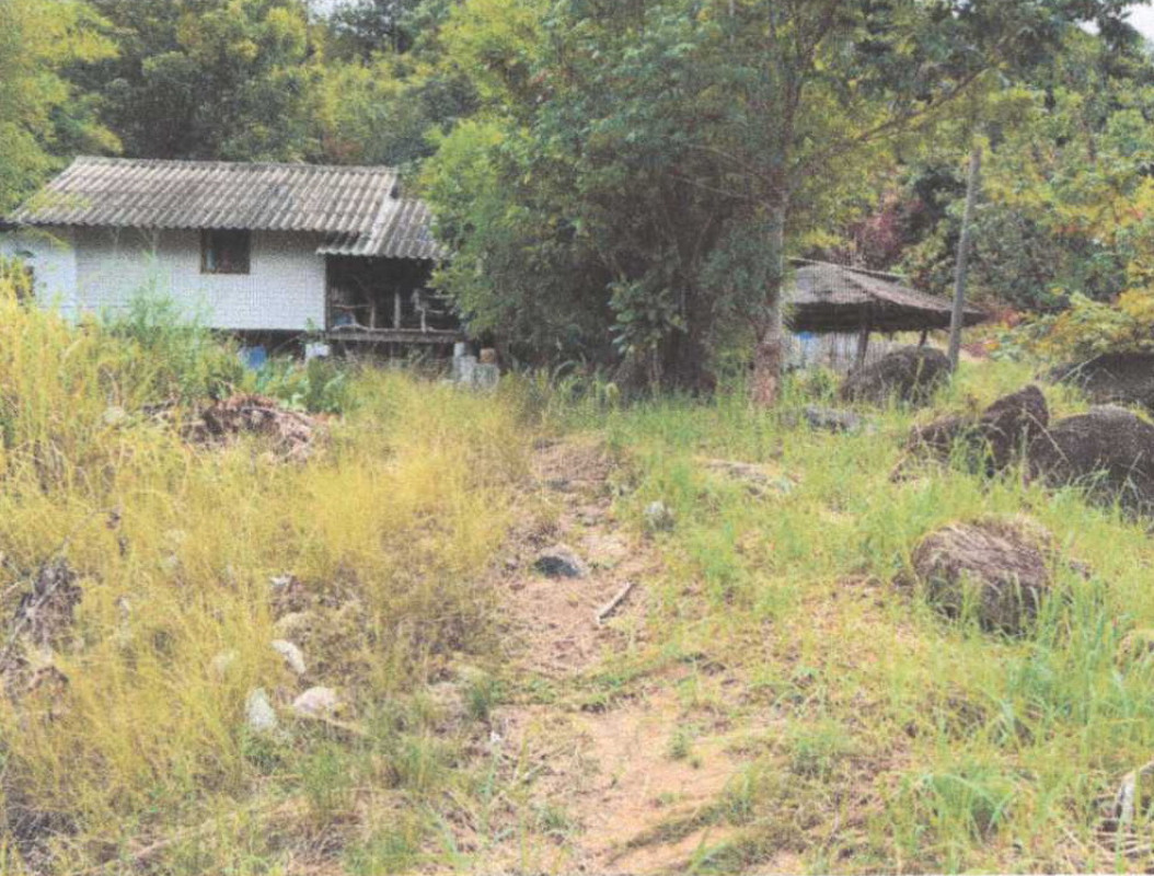 บ้านเดี่ยว สุราษฎร์ธานี เกาะพะงัน บ้านใต้ 718188