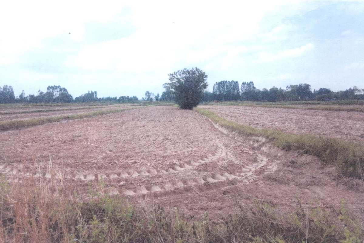 ที่ดินเปล่า กาฬสินธุ์ หนองกุงศรี หนองกุงศรี 209200